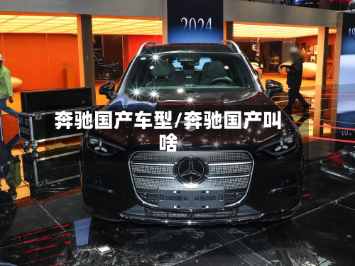 奔驰国产车型/奔驰国产叫啥-第2张图片