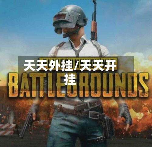 天天外挂/天天开挂