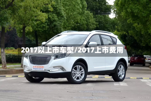 2017以上市车型/2017上市费用-第2张图片