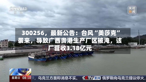 300256	，最新公告：台风“美莎克”袭来，导致广西贵港生产厂区被淹，该厂营收3.18亿元-第2张图片