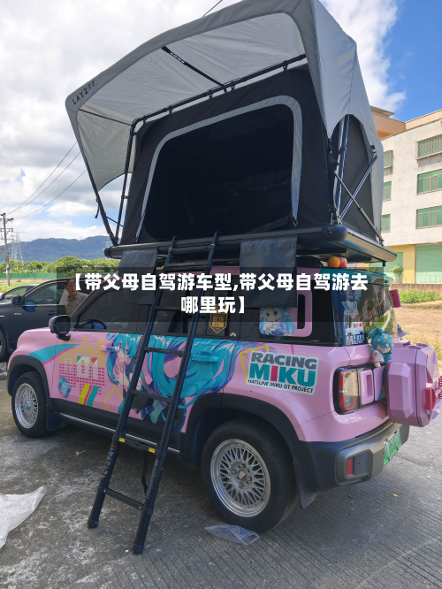 【带父母自驾游车型,带父母自驾游去哪里玩】-第2张图片