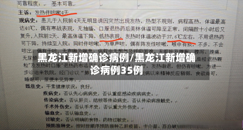 黑龙江新增确诊病例/黑龙江新增确诊病例35例