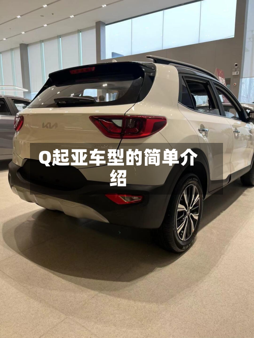 Q起亚车型的简单介绍