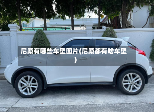 尼桑有哪些车型图片(尼桑都有啥车型)