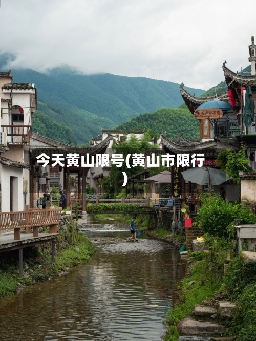 今天黄山限号(黄山市限行)