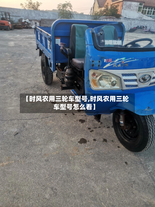 【时风农用三轮车型号,时风农用三轮车型号怎么看】-第3张图片