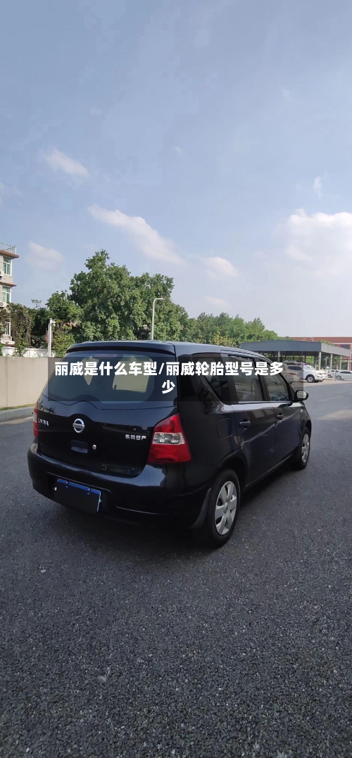 丽威是什么车型/丽威轮胎型号是多少