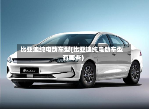 比亚迪纯电动车型(比亚迪纯电动车型有哪些)-第2张图片
