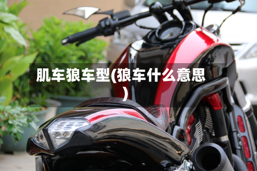 肌车狼车型(狼车什么意思)-第3张图片