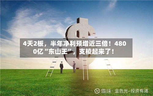 4天2板，半年净利预增近三倍！4800亿“东山王	”，支棱起来了！-第2张图片