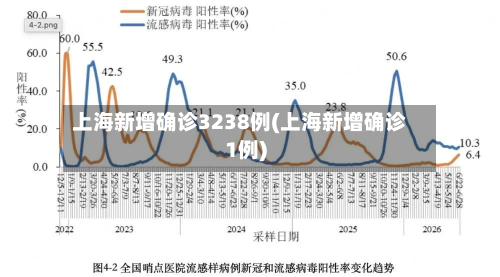 上海新增确诊3238例(上海新增确诊1例)-第3张图片