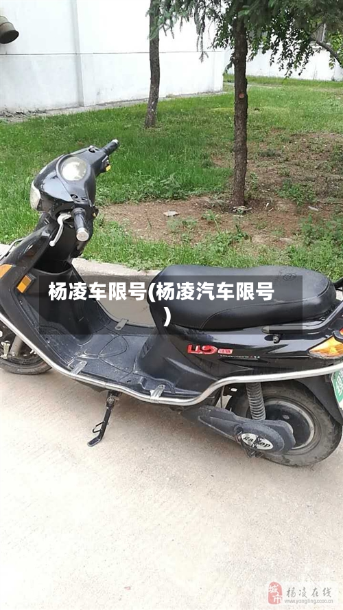杨凌车限号(杨凌汽车限号)-第2张图片