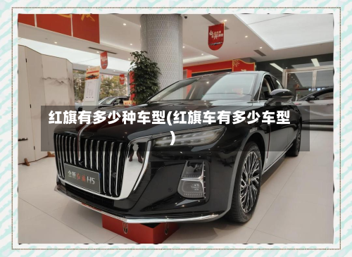 红旗有多少种车型(红旗车有多少车型)-第2张图片