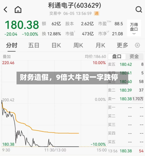 财务造假，9倍大牛股一字跌停-第3张图片