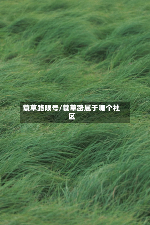 蓑草路限号/蓑草路属于哪个社区-第3张图片