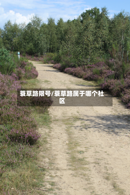 蓑草路限号/蓑草路属于哪个社区