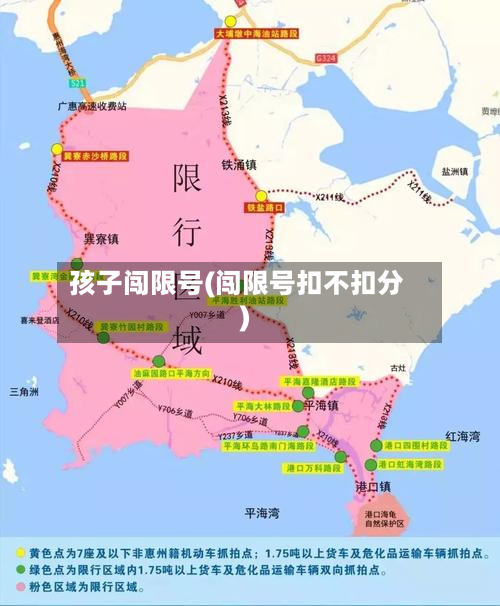 孩子闯限号(闯限号扣不扣分)