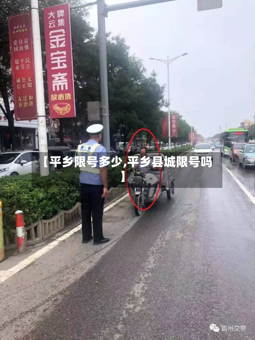 【平乡限号多少,平乡县城限号吗】-第2张图片