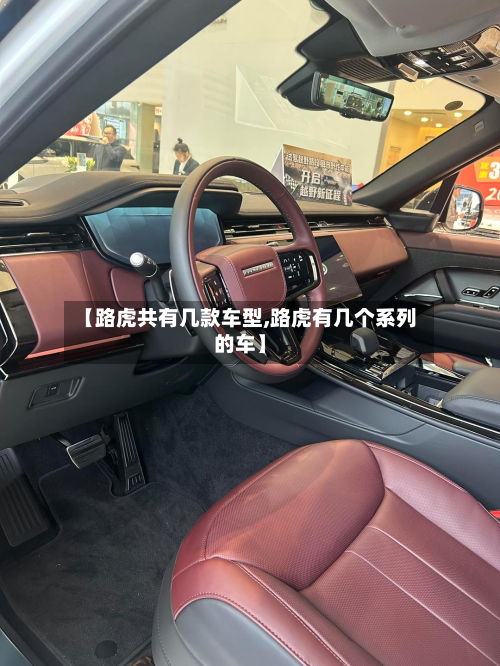 【路虎共有几款车型,路虎有几个系列的车】