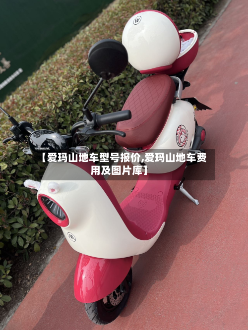 【爱玛山地车型号报价,爱玛山地车费用及图片库】-第2张图片