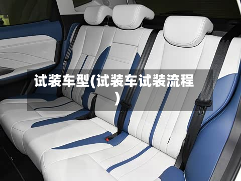 试装车型(试装车试装流程)