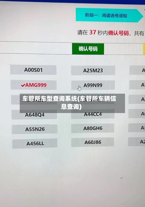 车管所车型查询系统(车管所车辆信息查询)