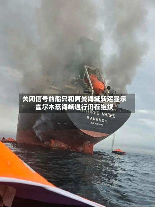 关闭信号的船只和阿曼海域转运显示霍尔木兹海峡通行仍在继续-第2张图片