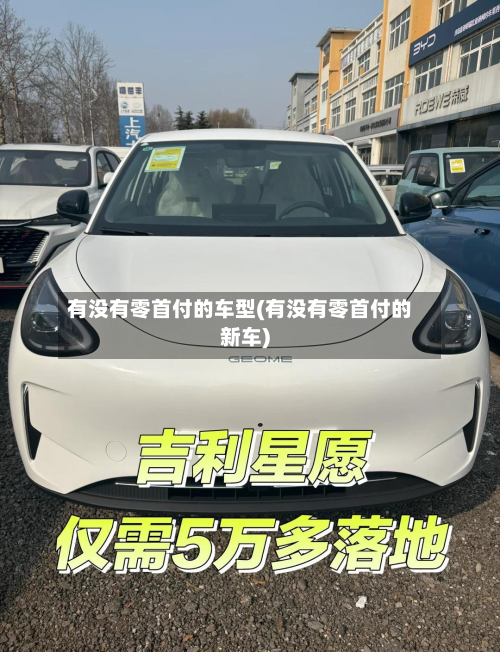 有没有零首付的车型(有没有零首付的新车)-第2张图片