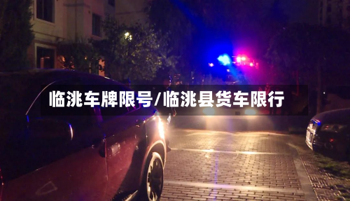 临洮车牌限号/临洮县货车限行-第2张图片
