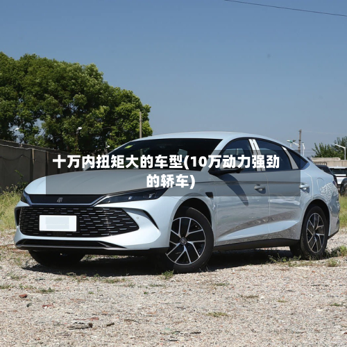 十万内扭矩大的车型(10万动力强劲的轿车)-第2张图片