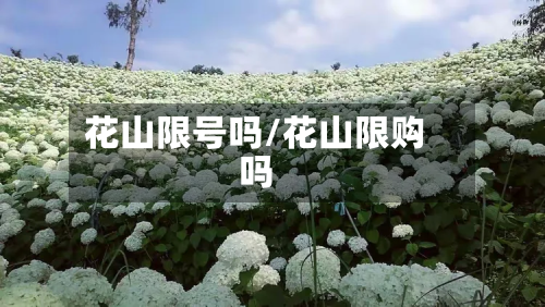 花山限号吗/花山限购吗