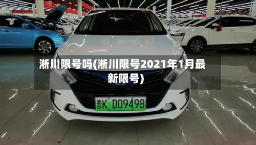 淅川限号吗(淅川限号2021年1月最新限号)-第3张图片