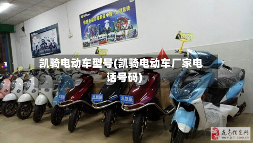 凯骑电动车型号(凯骑电动车厂家电话号码)-第2张图片