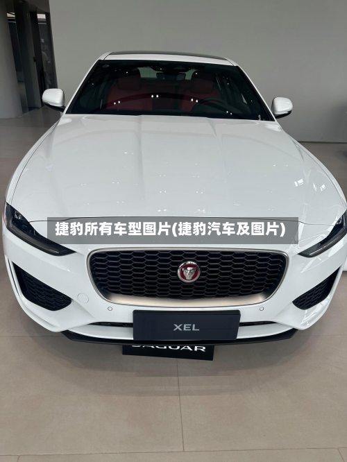 捷豹所有车型图片(捷豹汽车及图片)