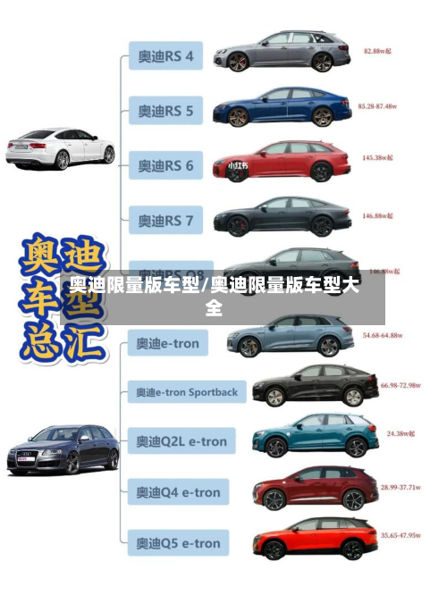 奥迪限量版车型/奥迪限量版车型大全-第2张图片