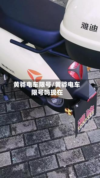 黄骅电车限号/黄骅电车限号吗现在-第2张图片