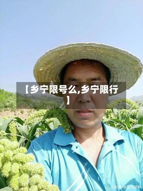 【乡宁限号么,乡宁限行】-第2张图片
