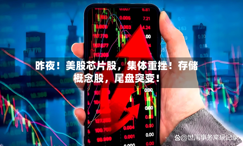 昨夜！美股芯片股，集体重挫！存储概念股，尾盘突变！