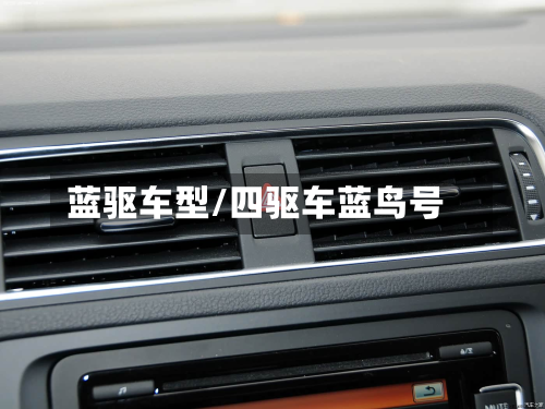 蓝驱车型/四驱车蓝鸟号-第2张图片