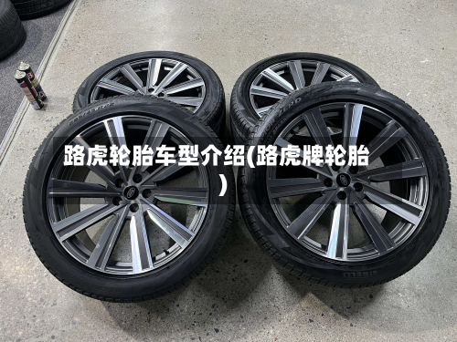 路虎轮胎车型介绍(路虎牌轮胎)