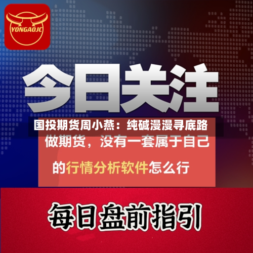 国投期货周小燕:纯碱漫漫寻底路-第1张图片
