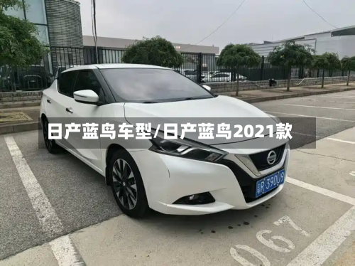 日产蓝鸟车型/日产蓝鸟2021款-第3张图片
