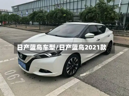 日产蓝鸟车型/日产蓝鸟2021款-第2张图片