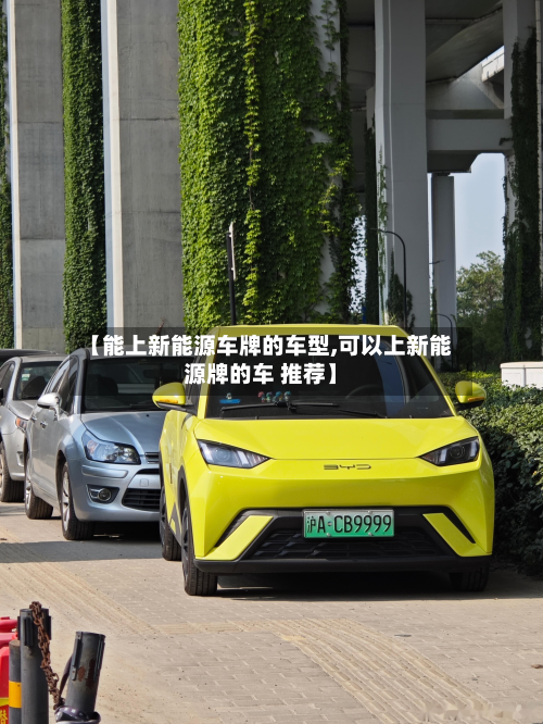 【能上新能源车牌的车型,可以上新能源牌的车 推荐】