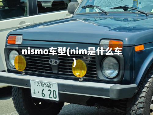 nismo车型(nim是什么车)
