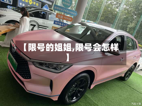 【限号的姐姐,限号会怎样】