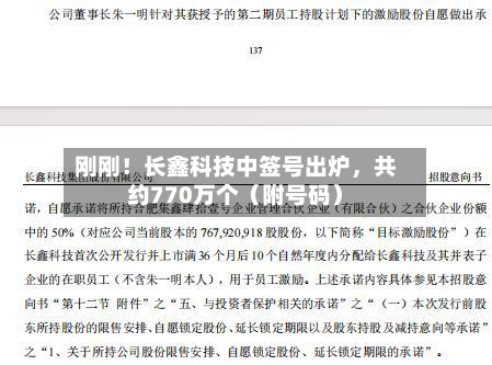 刚刚！长鑫科技中签号出炉，共约770万个（附号码）-第2张图片