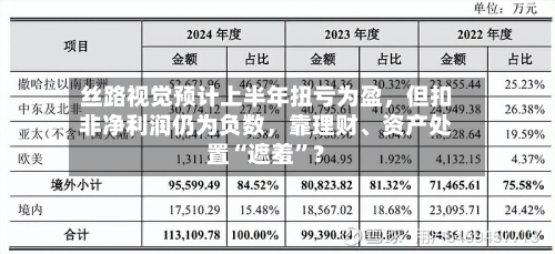 丝路视觉预计上半年扭亏为盈，但扣非净利润仍为负数	，靠理财	、资产处置“遮羞”？-第3张图片