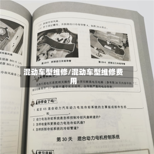 混动车型维修/混动车型维修费用
