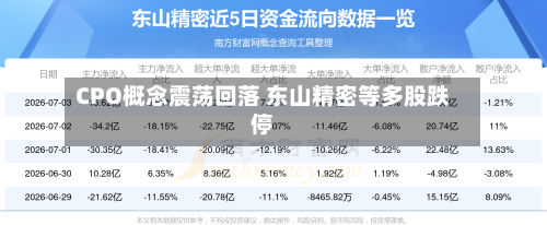 CPO概念震荡回落 东山精密等多股跌停